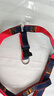 欢宠网狗绳狗狗牵引绳狗胸背带遛狗牵狗绳狗链子背带宠物大型小型犬小狗 实拍图