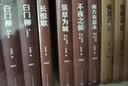 黄雀记 精装典藏版 苏童 第九届茅盾文学奖获奖作品 茅奖作品 人民文学出版社 小说 实拍图