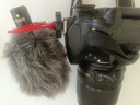 RODE 罗德麦克风 VideoMicro 单反微单相机手机指向性机顶麦克风微电影Vlog视频直播收音话筒 官方标配-工具箱版 实拍图