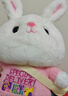 熊猫熊兔子玩偶毛绒玩具小女孩生日礼物女生儿童大布娃娃陪睡觉抱枕公仔 实拍图