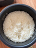 东芝（TOSHIBA）电饭煲家用1.6L迷你备长炭电饭锅1-2人智能预约定时宝宝粥不粘锅小小白RC-5MFMC 实拍图