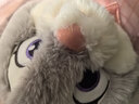 迪士尼（Disney）疯狂动物城朱迪双肩包兔子玩偶包毛绒玩具女孩生日礼物儿童包包 实拍图