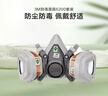 3M6200防毒面具口罩防尘防有毒气体防农药工业喷漆装修粉尘配6001滤毒盒 7件套 实拍图