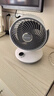 夏普小风铃空气循环扇电风扇家用小型风扇桌面台式静轻音99档风速抑菌大风量一级能效PJ-CA230A-C 实拍图
