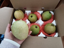 京觅福建红心芭乐 番石榴 应季 低糖孕妇水果 单果150g 净重3斤装 实拍图