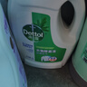 滴露（Dettol）衣物除菌液松木3L 内衣袜子衣物长效杀菌除螨 衣服消毒液儿童可用 实拍图