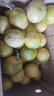 京喜加广西钦蜜9号黄金百香果青果发货当季新鲜大果黄皮果奶茶店水果 【中果3斤 】约17-25个 实拍图