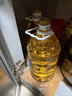 金龙鱼 食用油 葵花籽清香型食用植物调和油5L*4 实拍图