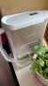 苏泊尔净水壶UF01/UF02过滤壶过滤器便携净水杯滤芯专用原装滤芯 1芯装/4芯装/8芯装 滤芯2只装 实拍图