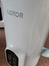 LOTOR徕多破壁机家用全自动豆浆机迷你小型多功能果汁榨汁料理机免煮2026新款米糊机3一4人五谷杂粮流食 1.2L绿色快豆浆316款 实拍图