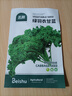 北蔬 羽衣甘蓝种子食用沙拉菜四季盆栽蔬菜籽 绿羽衣甘蓝种子约1000粒 实拍图