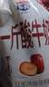 【1斤酸牛奶】多鲜庄园酸奶清新风味发酵乳原味红枣500ml大袋 红枣500g*1袋 实拍图