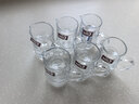 青苹果玻璃杯玻璃分酒器白酒杯套装家用小酒盅小酒杯一口杯烈酒杯 100ml酒壶*6+10ml酒杯*6 实拍图