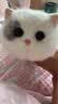 WALULU陪伴智能机器人电子宠物仿生猫咪AI情感毛绒玩具桌面迷你玩伴养成系语音对话潮流节日中秋礼物女生 京仓直送【雪域白】超柔亲肤 陪伴治愈 仿生萌宠 实拍图