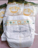 babycare金山茶花拉拉裤XL34片(12-17kg)婴儿尿不湿超薄透气新生柔花苞裤 实拍图