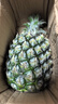 广东徐闻香水菠萝新鲜水果生鲜热带孕妇水果整箱包邮 净重4.5-5斤 单果650g起 实拍图