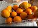 京鲜生  广西第三代脆蜜金柑净重4斤装（每斤20-27粒）源头直发包邮 实拍图
