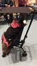 小虎子口袋推车轻便折叠婴儿推车儿童宝宝溜娃神器可登机推车T18炭黑色 实拍图