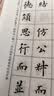 赋比兴欧阳询楷书全集临本 毛笔字书法楷书教程 欧楷毛笔字帖楷书入门 初学者书法大中小楷书 欧阳询楷书全集临本 实拍图