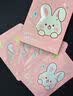 袋鼠杰克儿童面膜3-6-12岁男女孩夏季补水晒后修复学生保湿宝宝护肤面膜 【小白兔】儿童补水面膜5片/1盒 【0刺激 不辣眼】敏敏肌专用 实拍图