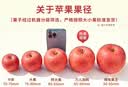 京满福正宗新疆冰糖心苹果红富士新鲜水果时令苹果节日送礼 精选果整箱10斤 单果80-90mm净重8.5斤 实拍图