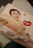 好奇（Huggies）铂金装小桃裤成长裤XXL74片(15kg以上)尿不湿【透爽散热】 实拍图