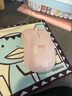 罗技（Logitech）M221轻音鼠标 无线鼠标 办公鼠标 对称鼠标 带无线微型接收器 茱萸粉 实拍图