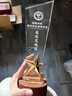 鑫匠久水晶奖杯定制金属树脂创意奖牌优秀员工运动篮球足球台球老师奖品年会奖杯礼品退伍退休纪念品摆台 发光奖杯系列二（百款可选） 咨询客服-免费设计 实拍图