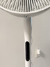 美的（Midea）【闪拆系列】一键闪电拆装直流变频家用语音电风扇一级能效轻音落地扇大风力卧室立式电扇SDJ30BC 实拍图