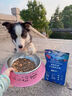 LEGENDSANDY蓝氏狗粮真鲜乳鸽中小型犬泰迪比熊生骨肉冻干鲜肉犬粮4.5kg9斤 实拍图