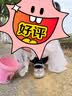 芭比童鞋儿童节女童春秋时尚水晶鞋公主女孩皮鞋时装鞋DA6512浅紫31 实拍图