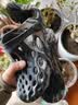 迈乐（Merrell）运动户外洞洞鞋HYDRO MOC毒液涉水鞋男女款沙滩鞋凉鞋轻便溯溪鞋 J004232陨石黑（女） 38 偏大一码 实拍图