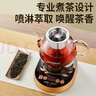 金灶（KAMJOVE）煮茶器喷淋式全自动煮茶壶 玻璃养生烧水壶蒸煮一体恒温电热水壶 A-99 0.8L 700W 实拍图