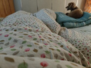 无印良品立体A类面料10%大豆纤维四季被子春秋棉被芯冬天被褥150*200cm4斤 实拍图