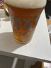 瓦伦丁（Wurenbacher）硬骨头帝国IPA精酿啤酒500ml*18听 整箱装 德国原装进口 聚会送礼 实拍图