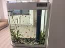 欧宝鱼缸水族箱客厅大型家用生态玻璃水族箱金鱼缸屏风玄关 0.8米长  底滤 实拍图