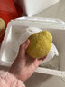 京鲜生 广东树熟软糯奶油芭乐 净重2.5斤装单果150g+ 番石榴 源头直发 实拍图
