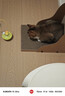 licheers猫玩具逗猫棒不倒翁猫咪玩具薄荷球猫咪自嗨解闷逗猫用品 嫩绿色 实拍图