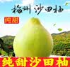 柚满园【纯甜不酸】梅州沙田柚子南福金柚正宗甜碌柚新鲜水果批发梅县 6-10个带箱19-20斤 实拍图