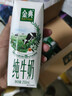 伊利【新鲜日期】金典纯牛奶早餐奶整箱250ml*16盒 3.6g乳蛋白 礼盒装 实拍图