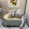 布鲁雅尔（Blueair）宠物空气净化器消毒机除猫毛异味过敏原甲醛细菌布噜噜PetAir Pro家用电器 实拍图