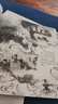 三国演义绘本（桃园三结义+三英战吕布）套装2册 平装版 随书附赠音频 狐狸家编著 4-10岁儿童 中国经典历史故事书 水墨画萌趣版  实拍图