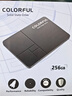 七彩虹(Colorful)  256GB SSD固态硬盘 SATA3.0接口 SL500系列 实拍图