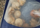 富海锦新鲜大号带黄扇贝肉1斤 无沙 火锅烧烤食材 海鲜贝类 聚餐送礼 实拍图