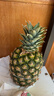 佳农 菲律宾进口菠萝 2个装 凤梨 单果净重2斤 生鲜水果源头直发 包邮 实拍图