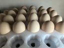 京鲜生【供港品质】【每日鲜蛋】无抗谷物鸡蛋30枚3.78斤当日产蛋当日发 实拍图