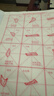 善琏湖笔笔画描红练字毛笔楷书初学者欧体柳公权临摹字帖成人毛笔字练习纸入门小学生软笔毛笔纸颜体宣纸  实拍图