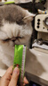 珍致猫零食猫条 鸡肉南瓜10g*4支 进口猫湿粮肉泥 喵酱之吻系列 实拍图