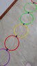 马丁兄弟 儿童户外玩具跳房子跳圈玩具幼儿园感统体能训练跳格子10圈+10扣 实拍图