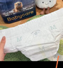 babycare皇室狮子王国拉拉裤大号L32+6片(9-14kg)婴儿尿不湿 实拍图
